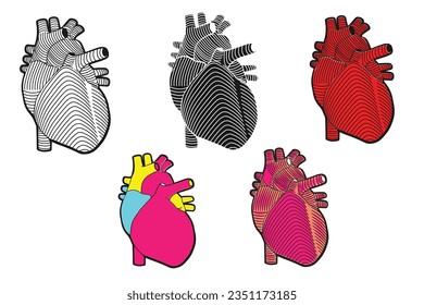 Ilustración del arte del vector del corazón humano con diferentes colores y líneas aisladas en fondo blanco