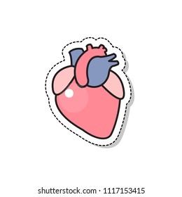 human heart vector icon