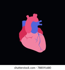 human heart vector icon