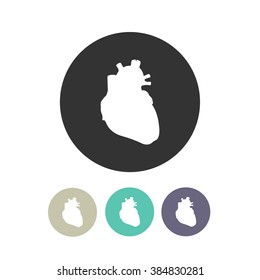 human heart. vector illsutration