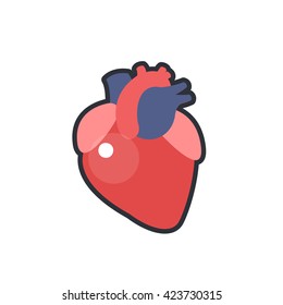 human heart. vector illsutration