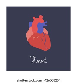 human heart. vector illsutration