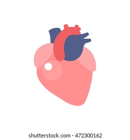 human heart. vector illsutration