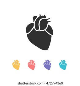 human heart. vector illsutration