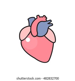 human heart. vector illsutration