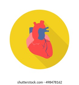 human heart. vector illsutration