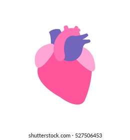 human heart. vector illsutration