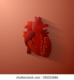 Human heart vector illustration