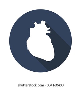 human heart. vector illustration