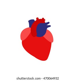 human heart. vector illustration