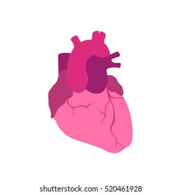 human heart. vector illustration