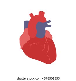 Human Heart Vector Illustration Stock Vector (Royalty Free) 578501353 ...