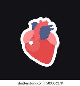 human heart. vector illustration