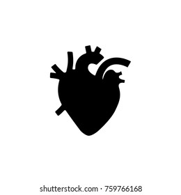 Human heart vector illustration