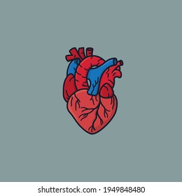 Human heart vector illustration for Heart Day on September 29