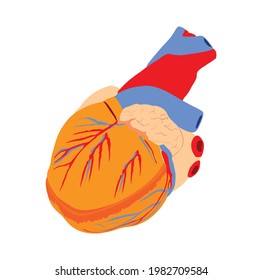 Human heart vector illustration isolated on white background. Organ transplantation, safe life concept. Medical education, human surgery.