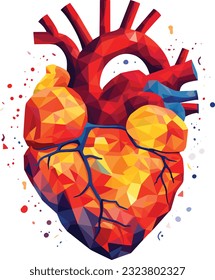 human heart vector illustration on isolated background