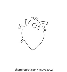 Human Heart Vector Illustration, Outline Design