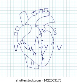 Human heart vector line art icon of internal organ isolated on background.