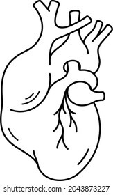 Human heart. Vector outline illustration.