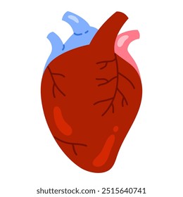 Corazón humano con el sistema venoso. Órgano interno del sistema circulatorio. Anatomía corporal, biología. Ilustración vectorial aislada en estilo de dibujos animados