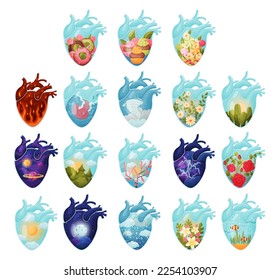 Human Hearts with Vessels and Scenes Inside Big Vector Set