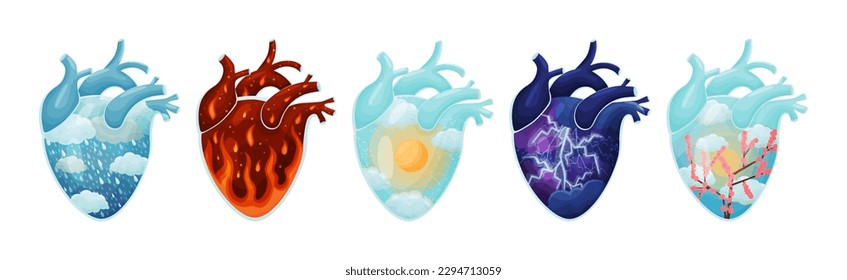Human Hearts with Vessels and Scenes Inside Vector Set