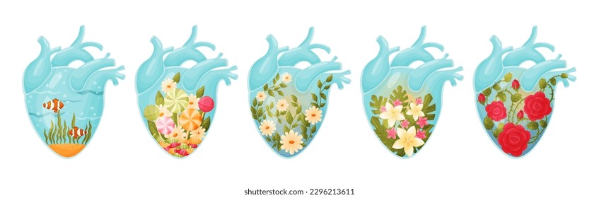 Human Hearts with Vessels and Scenes Inside Vector Set