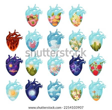 Human Hearts with Vessels and Scenes Inside Big Vector Set