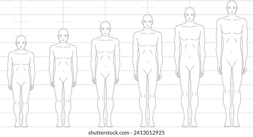 Balanza de altura humana vista desde el frente. Ilustración de una figura masculina con 6,5 cabezas, 7 cabezas, 8 cabezas y 9 cabezas.