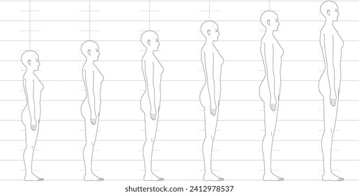 Human height balance seen from the side. Illustration of a female figure with 6.5 heads, 7 heads, 8 heads, and 9 heads.
