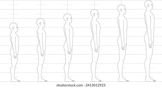 Human height balance seen from the side. Illustration of a male figure with 6.5 heads, 7 heads, 8 heads, and 9 heads.