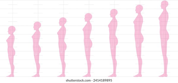 Menschlicher Höhenausgleich von der Seite aus gesehen. Illustration einer weiblichen Figur mit 6 Köpfen, 7 Köpfen, 8 Köpfen und 9 Köpfen.