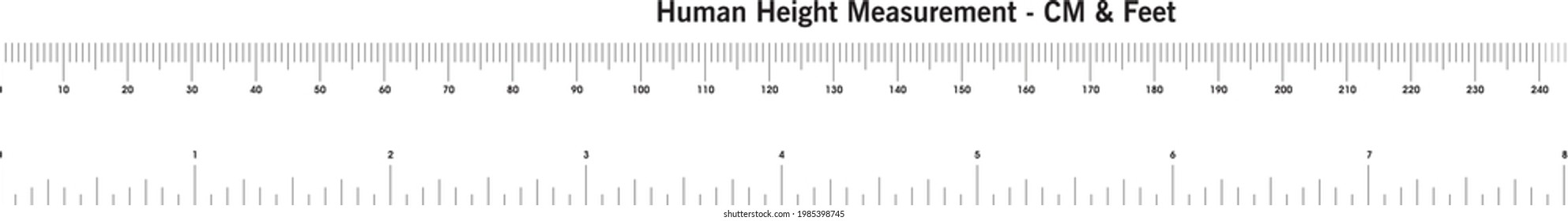 Scaling heights. Линейка шкала высота. Human height in feet. Fazzini Scales with height Road.
