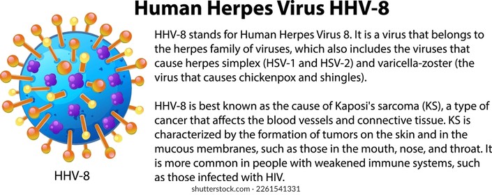 Human Herpes Virus HHV 8 with explanation illustration