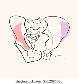 Human hip bone  one line drawing. Human hip bone  single line illustration. Human hip bone  minimalist line art