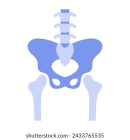 Human hip joint, simple anatomical presentation of pelvic bones vector illustration
