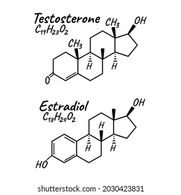 Human hormone estradiol, testosterone concept chemical skeletal formula icon label, text font vector illustration, isolated on white. Periodic element table. Healthy lifestyle endocrine system.