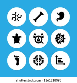 human icon. 9 human set with footprint, brain, stomach and skeleton vector icons for web and mobile app