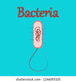 human icon in flat style bacteria