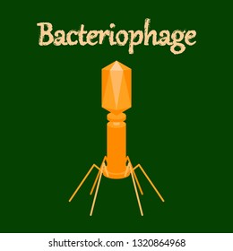 human icon in flat style bacteriophage