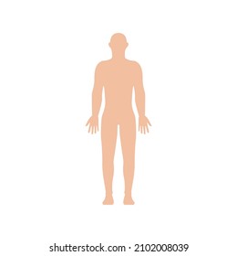 icono humano en fondo blanco, ilustración vectorial