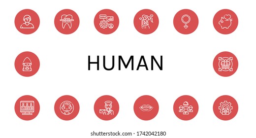 human icon set. Collection of Suspect, Braces, Skills, Kiss, Male, Love, Candidates, Man, Postwoman, Lip, Team, Leader, Hacker, Team member icons