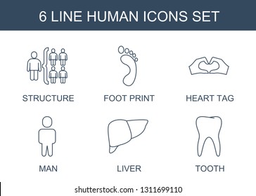 human icons. Trendy 6 human icons. Contain icons such as structure, foot print, heart tag, man, liver, tooth. human icon for web and mobile.