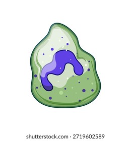 Célula inmune humana que muestra su núcleo lobulado distintivo y citoplasma granular, que representa el mecanismo de defensa natural del cuerpo contra patógenos y enfermedades invasoras