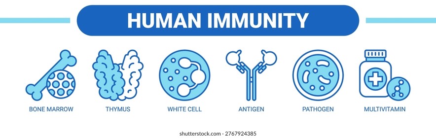 Human Immunity web banner icon vector illustration concept with icons of bone marrow, thymus, white cell, antigen, pathogen, and multivitamin.