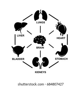 Human inner body organs icon set. Vector art.