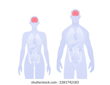 Human inner organ infographic. Vector flat healthcare illustration. Male and female silhouette. Red brain and nervous system symbol. Design for health care, education, science, neurology