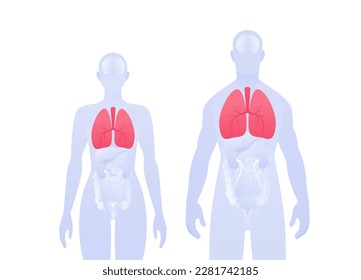 Infografía de órganos internos humanos. Ilustración vectorial de asistencia sanitaria plana. Silueta masculina y femenina. Símbolo del sistema respiratorio y pulmonar rojo. Elemento de diseño para la atención de la salud, la educación, la ciencia, la pulmonología