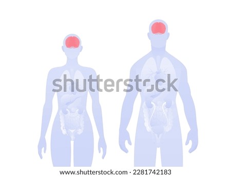 Human inner organ infographic. Vector flat healthcare illustration. Male and female silhouette. Red brain and nervous system symbol. Design for health care, education, science, neurology